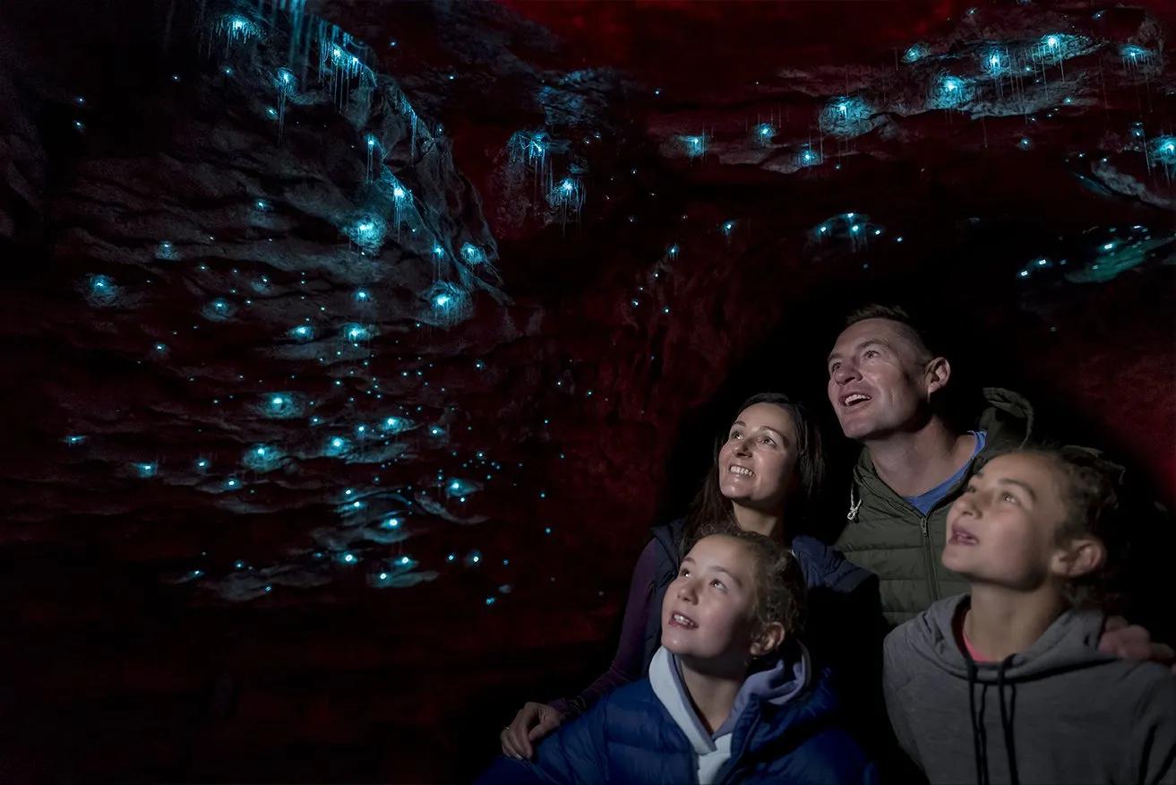 Te Anau Glowworm Caves Experience with Scenic Lake Cruise
