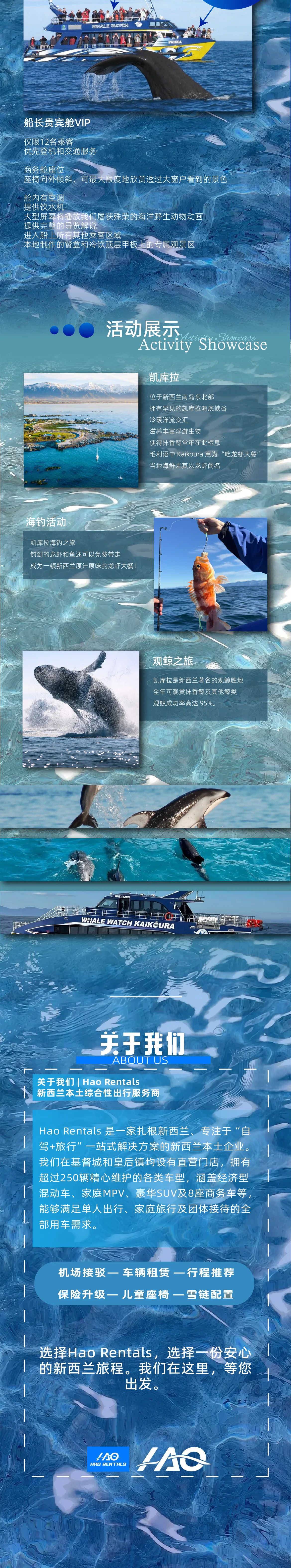 新西兰南岛凯库拉观鲸一日游Kaikoura Whale Watching Tour 图文详情 (3/3)