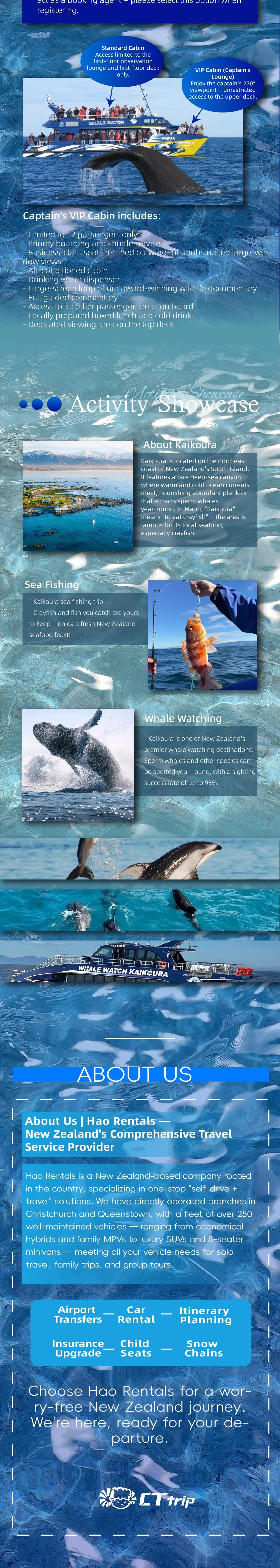 Kaikoura Whale Watching Tour from Christchurch visual detail (3/3)