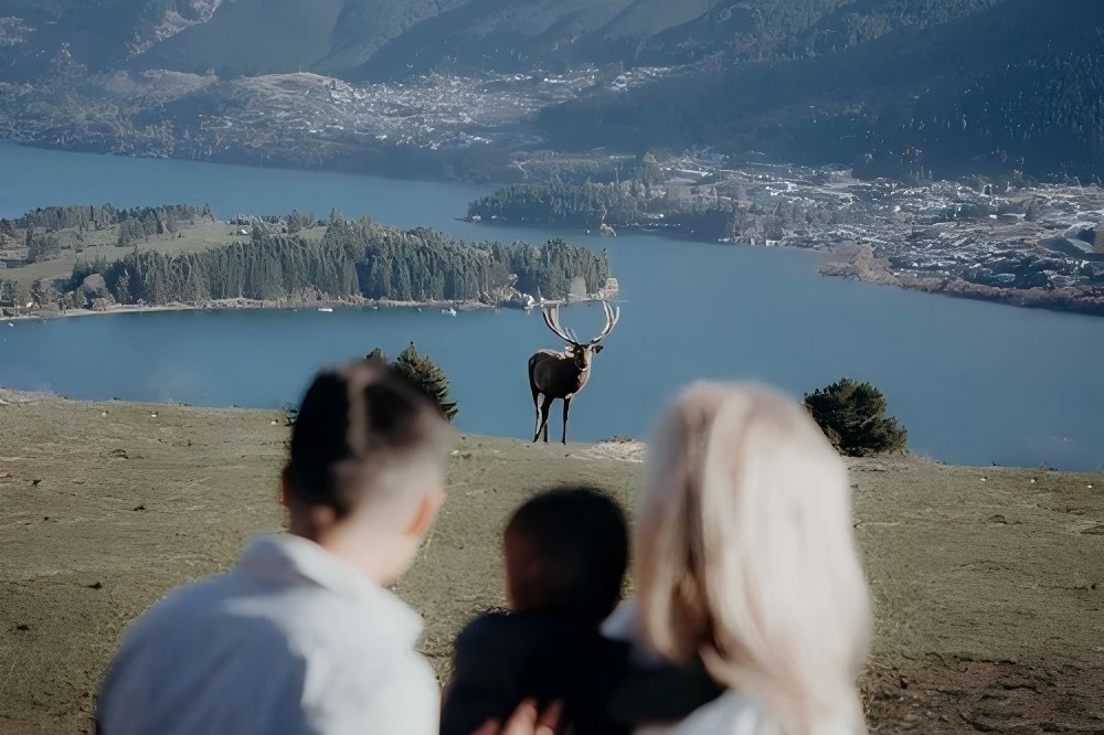Queenstown Deer Park Heights Half-day Tour experience photo 2