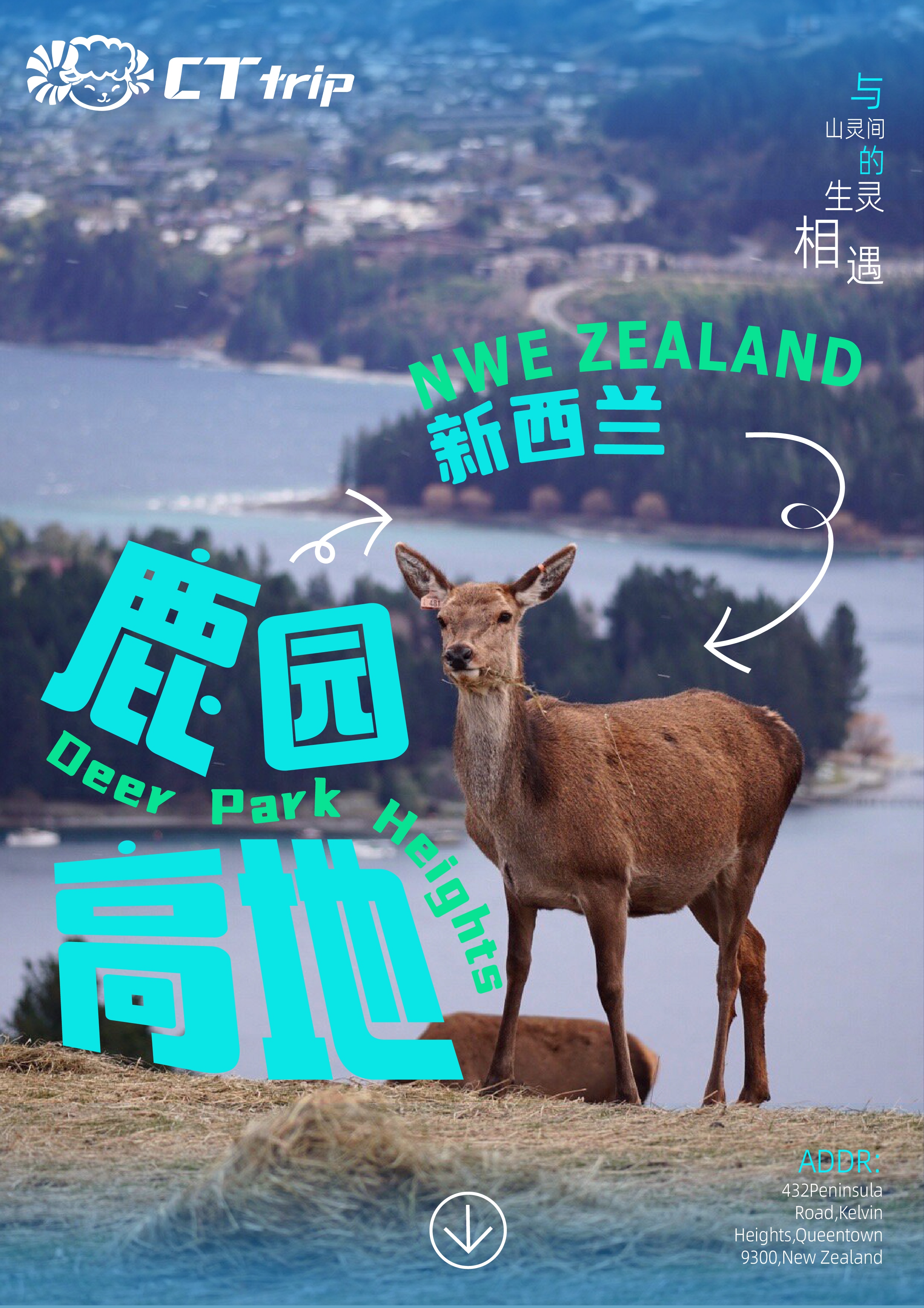 鹿园高地半日游 活动照片 1
