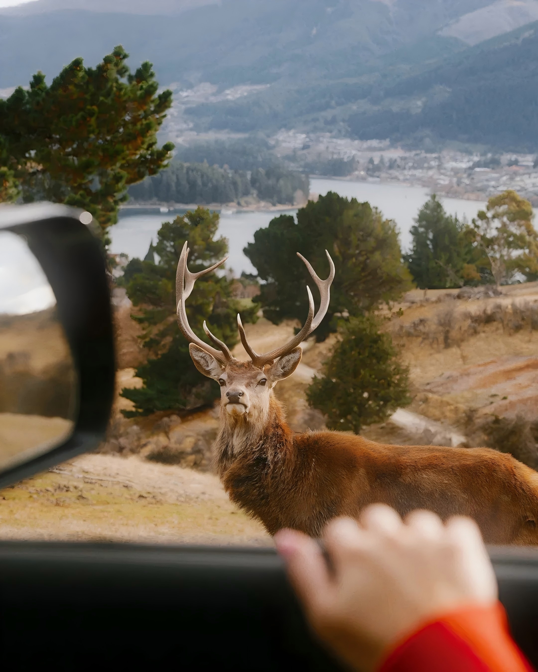 Deer Park Heights Half-Day Tour experience photo 2